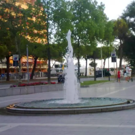 In Ve